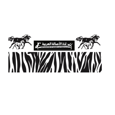The Pleasure of Arabic Authenticity