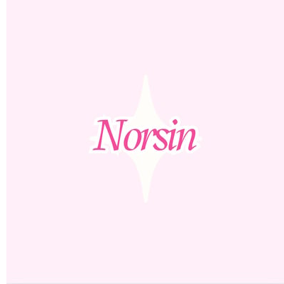 Norsin