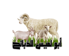 مؤسسة ربى مرعي حسن العمري للمقاولات