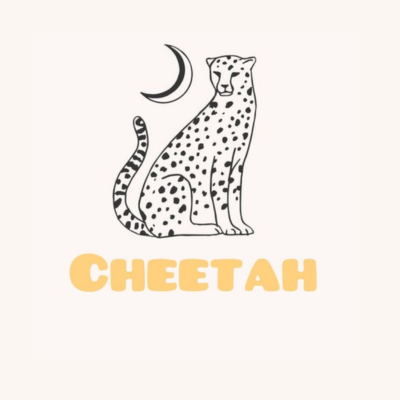 cheetah