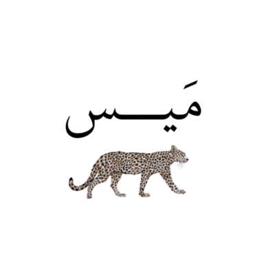 ميس