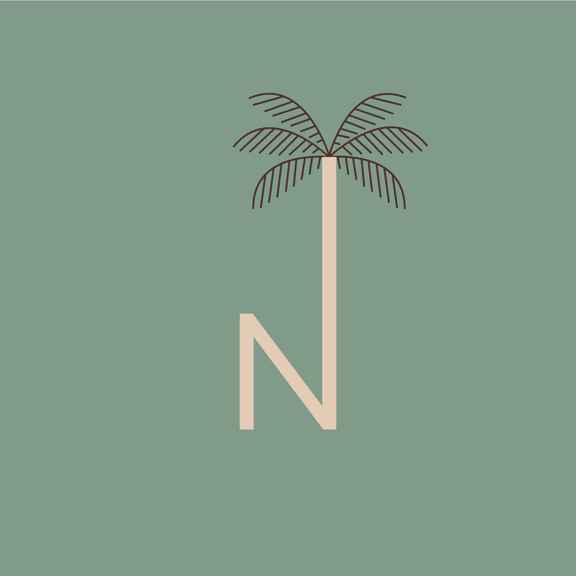 N’spired
