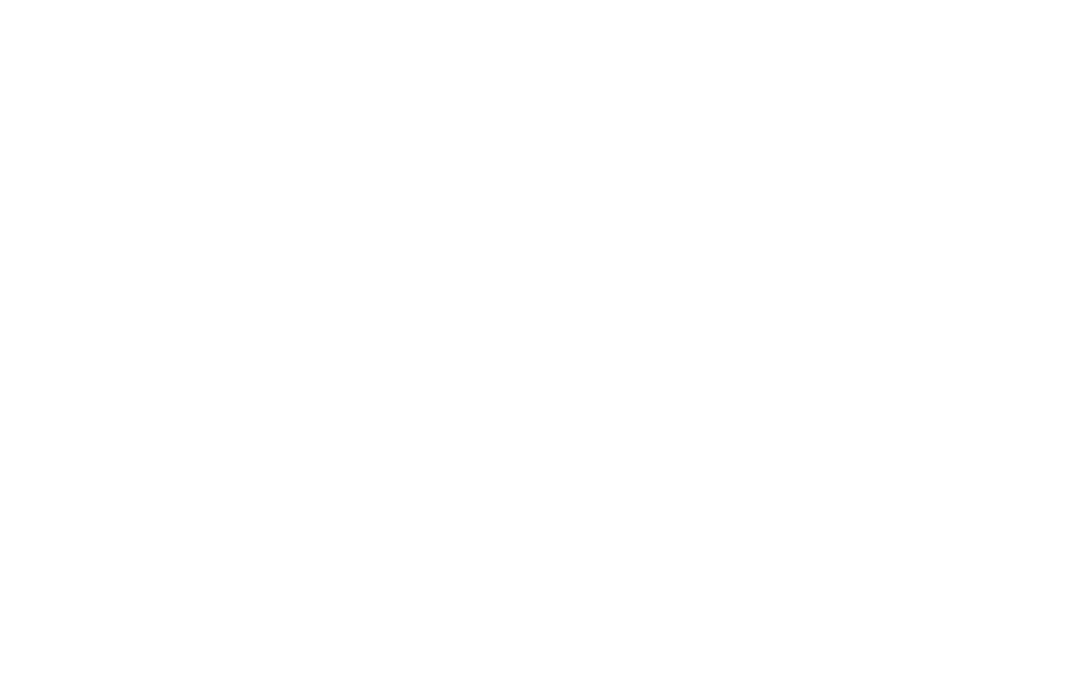 Chic Rule