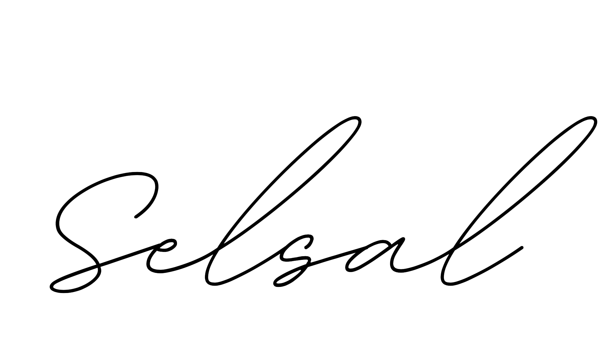 Selsal Store