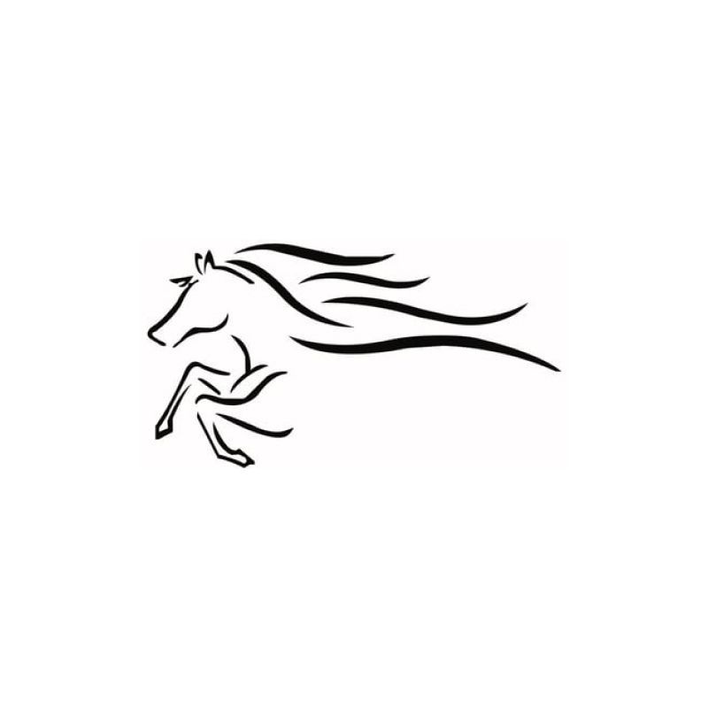 Shiny Horse