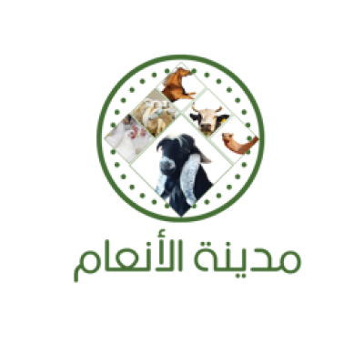 متجر مدينة الأنعام
