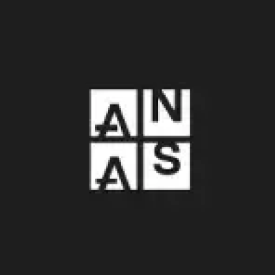 Anas Academy