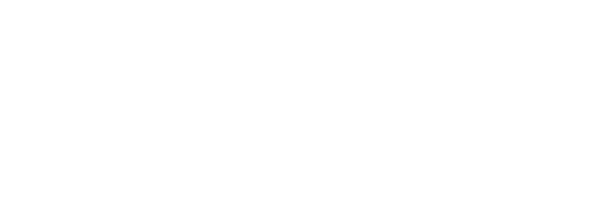 bilan perfumes