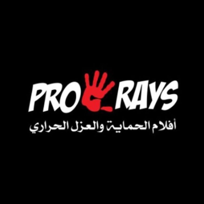 PRORAYS window films