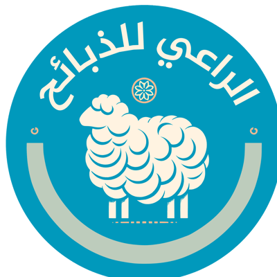 alraei sheep