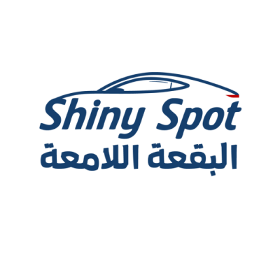 shiny spot
