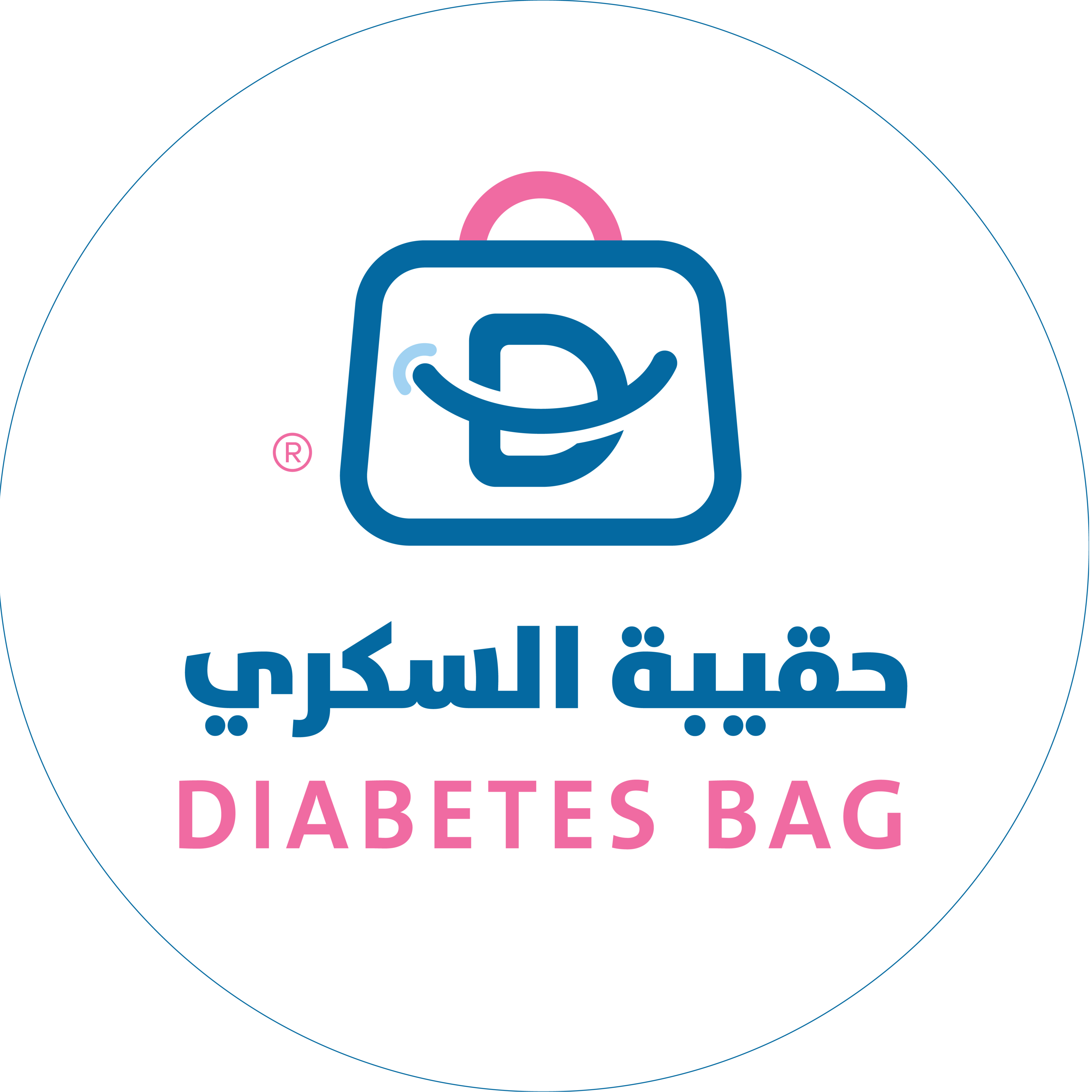Diabetes Bag