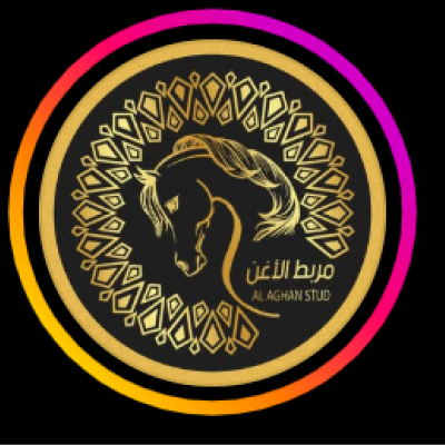 اكاديمية الاغن للخيل العربية الاصيلة