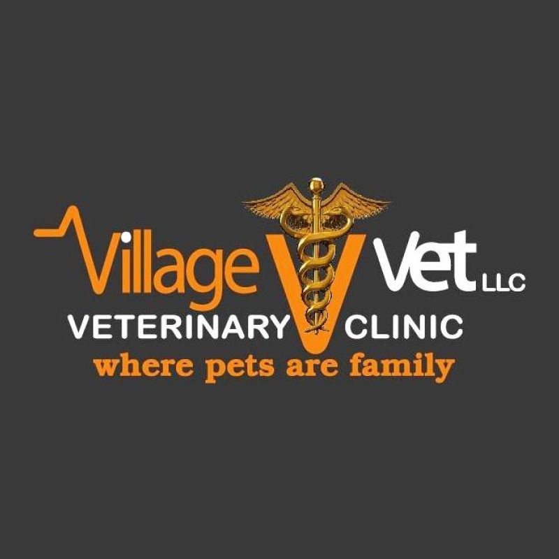 VILLAGE VET LLC
