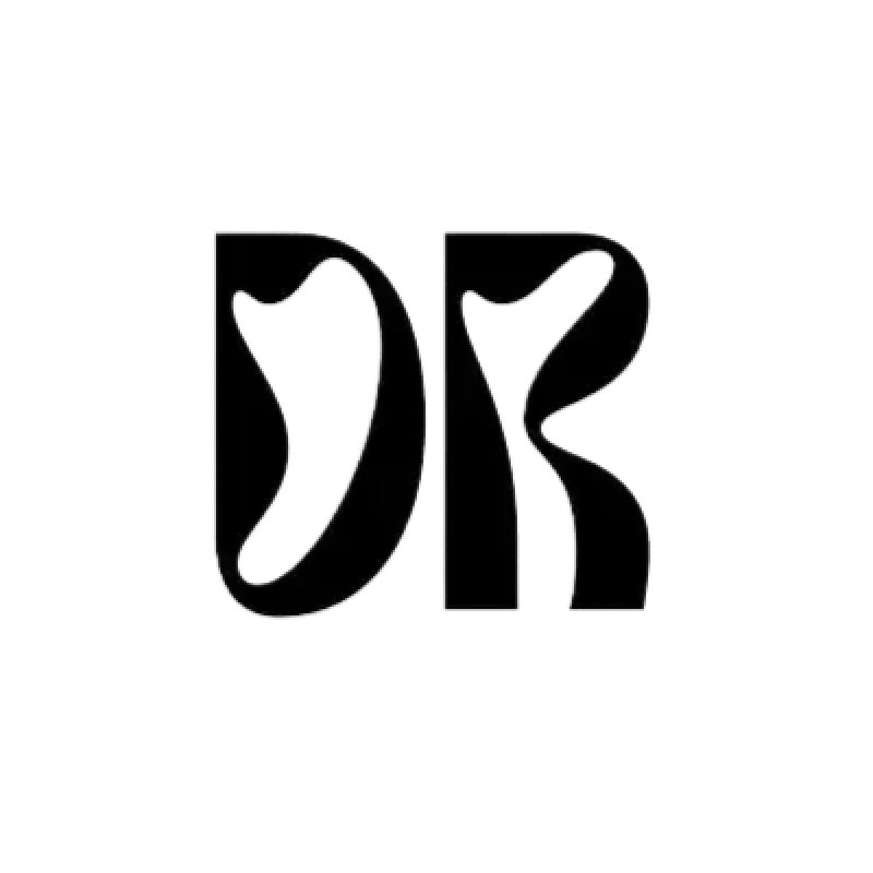 dash cam drb