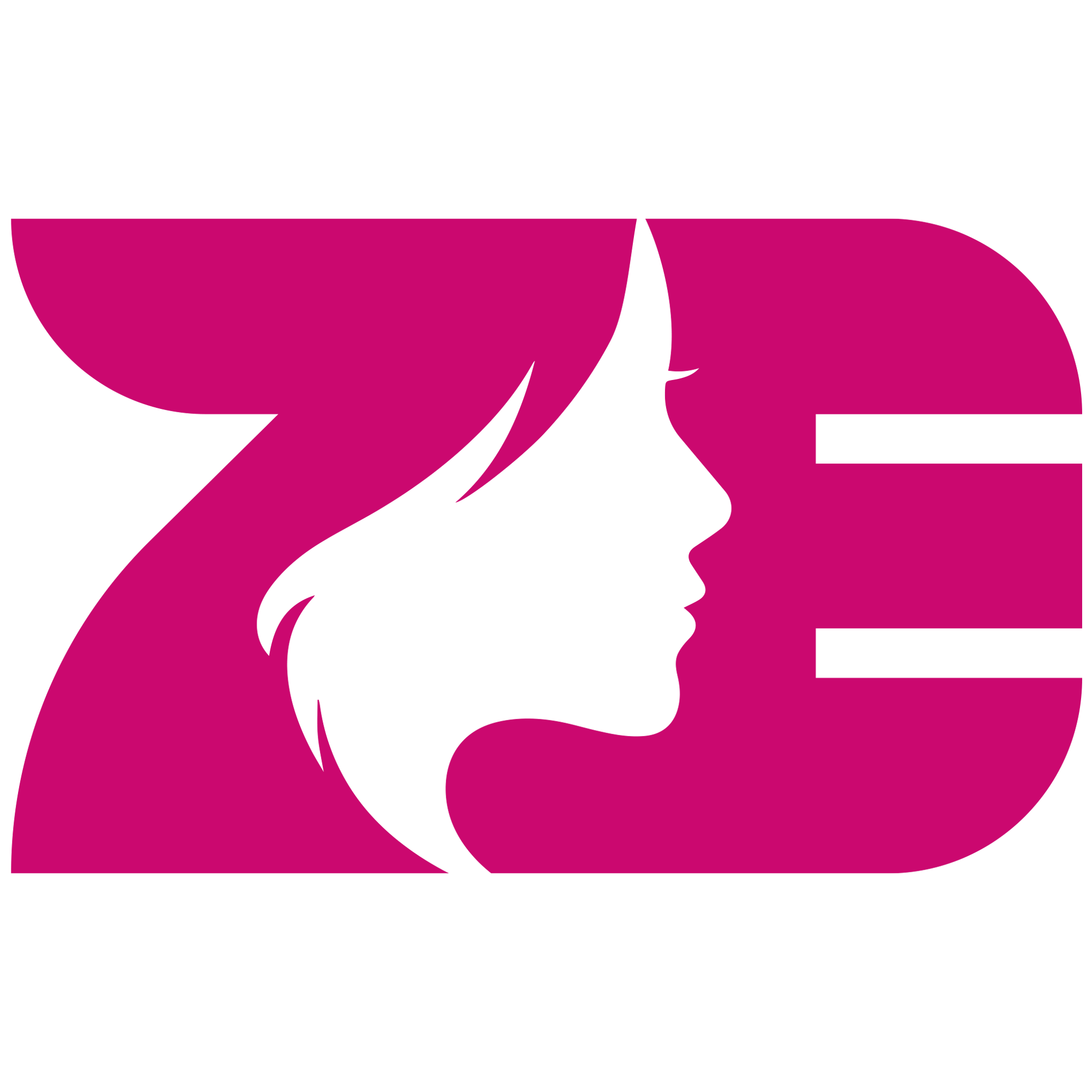 Zezewigs Store