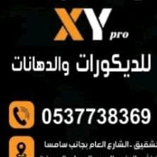مؤسسة إكس واي برو
