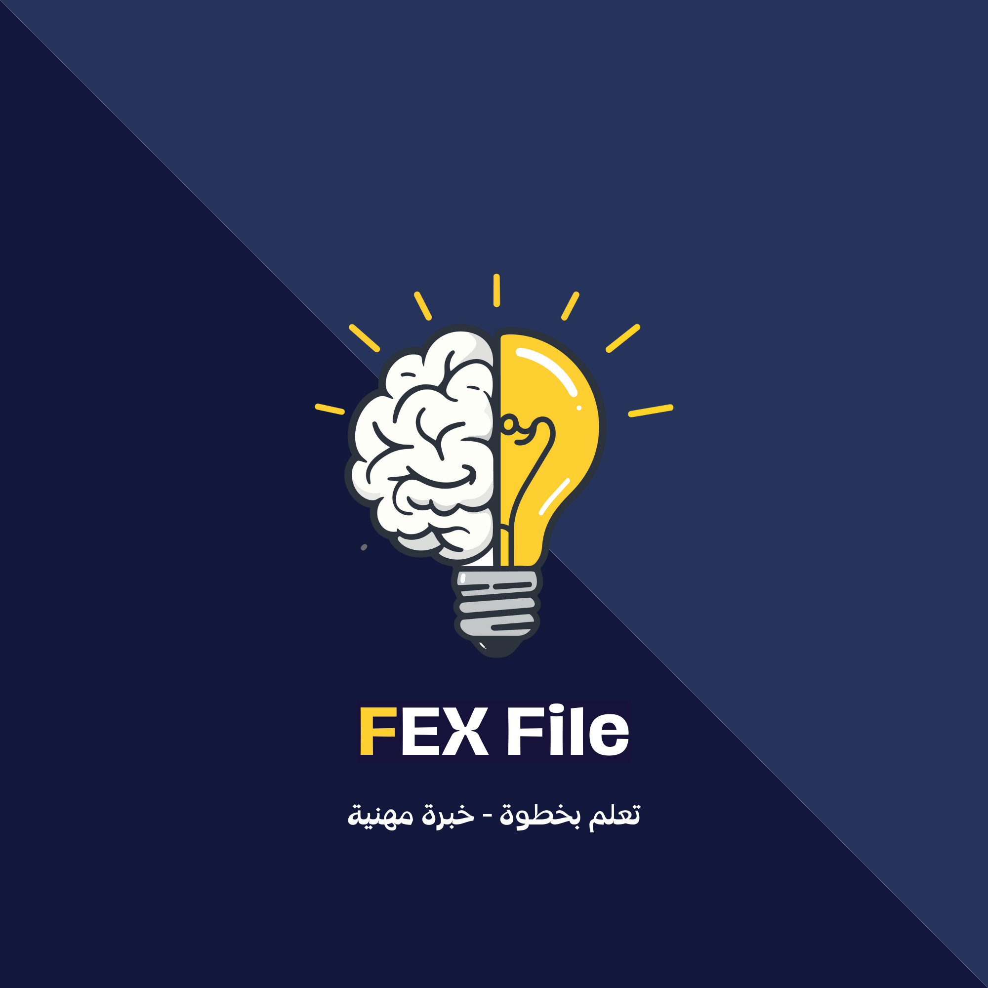 FEX File