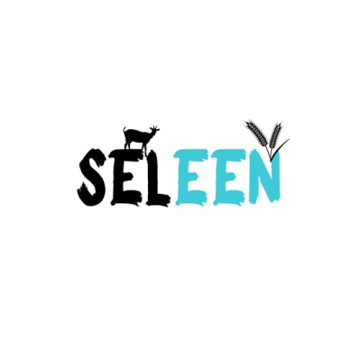 سيلين