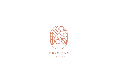 process coffee roasters