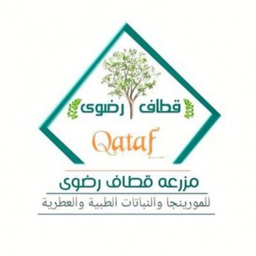 Qtaf radhwa farm