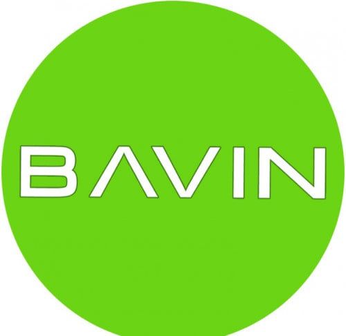 Bavin