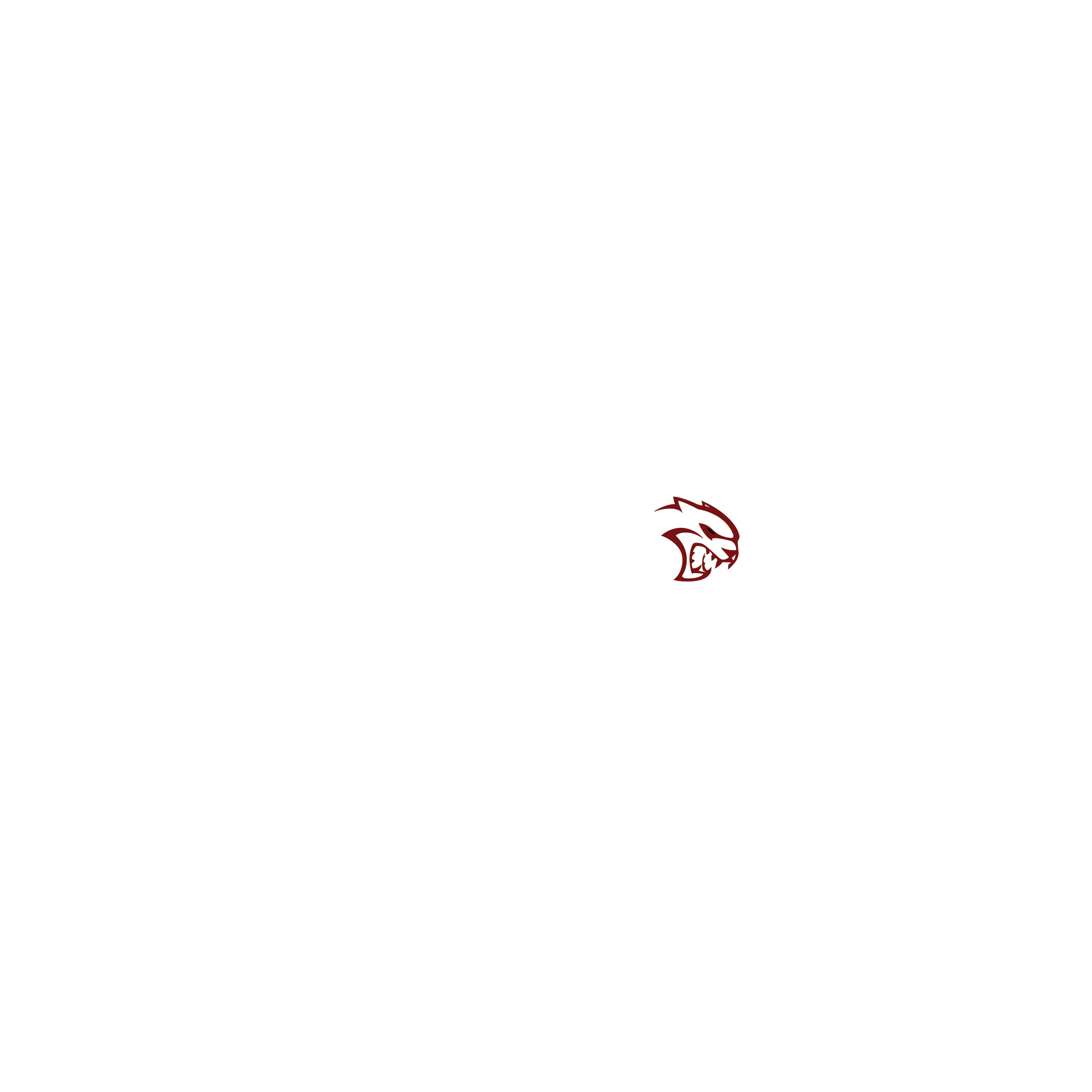 Midnight Store