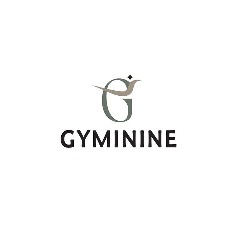 Gyminine gym