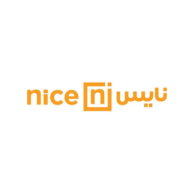 نايس