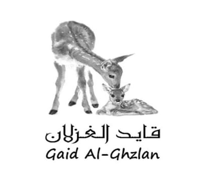 Gaid Algzlan