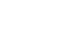 sneakers stadium