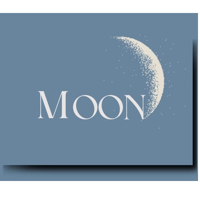 Moon store