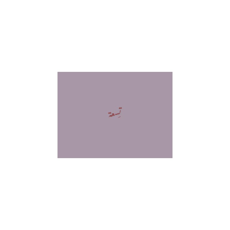 تسعة