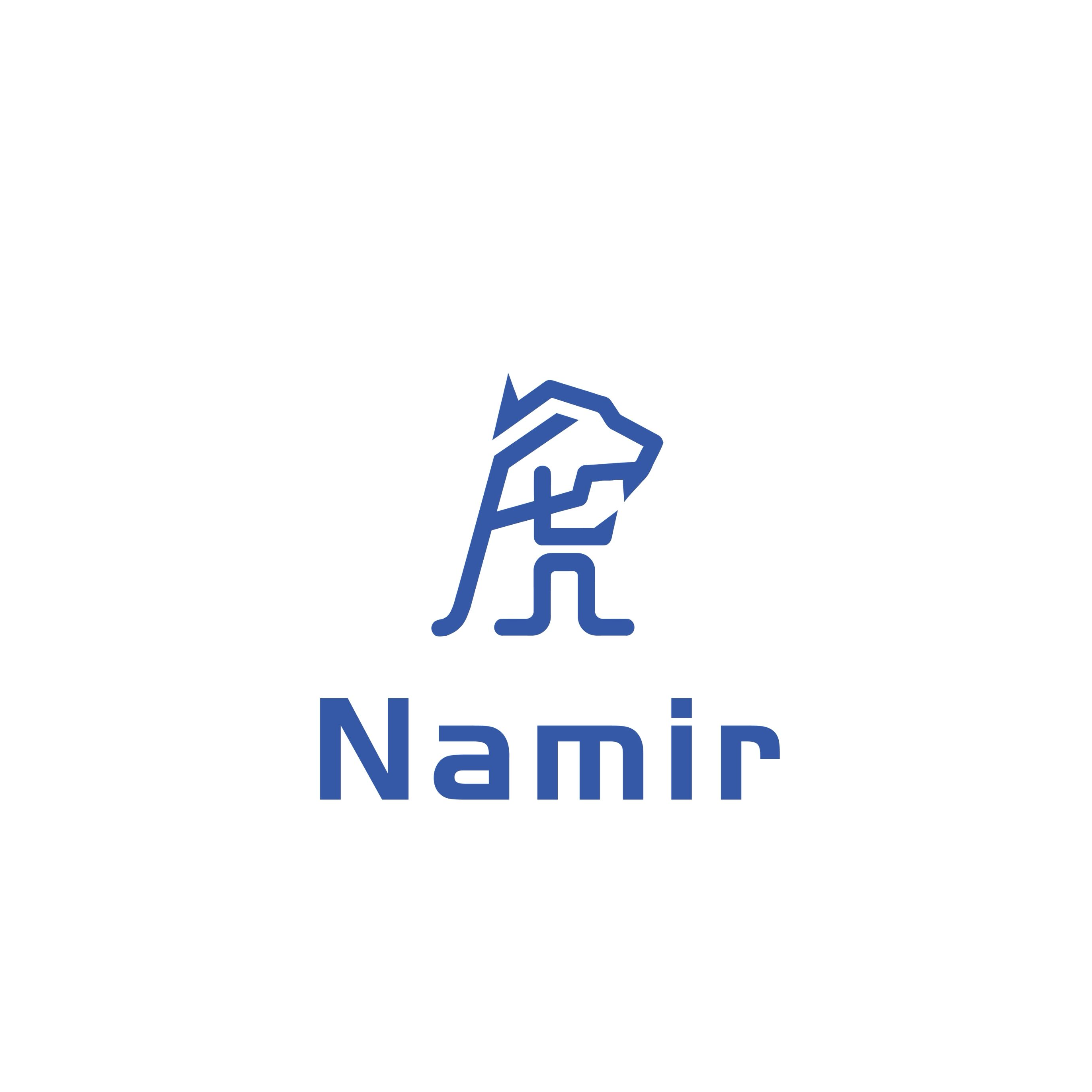 NAMIR