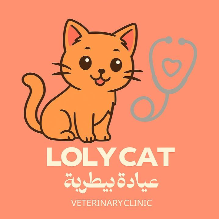لولي كات