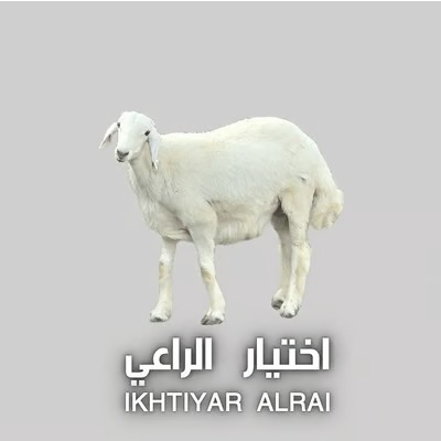 اختيار الراعي