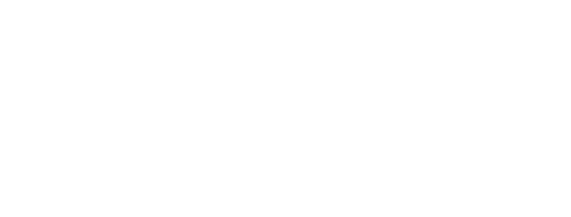 Picasso Co