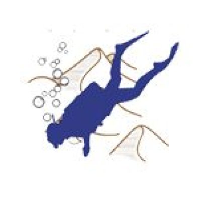 Sand Diver
