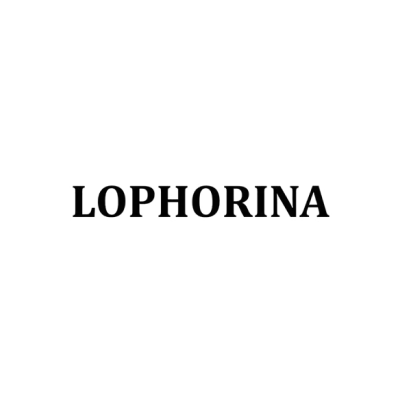 Lophorina
