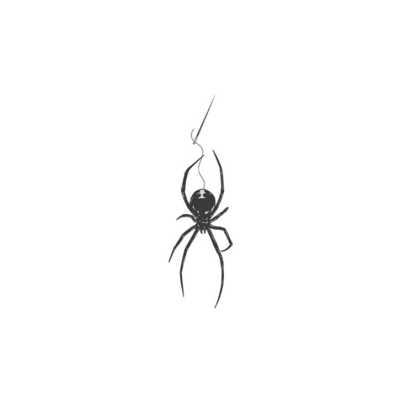 spidy