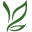 Dewgarden