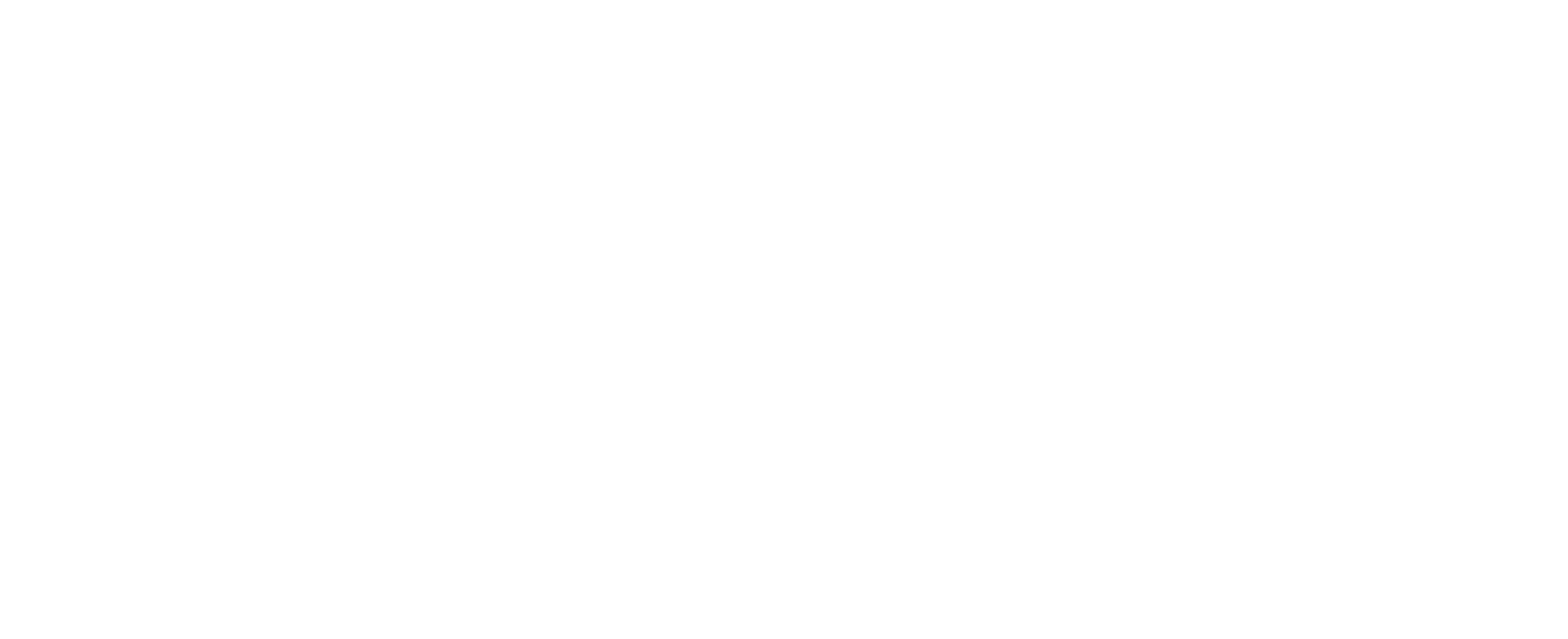 Phonester Store