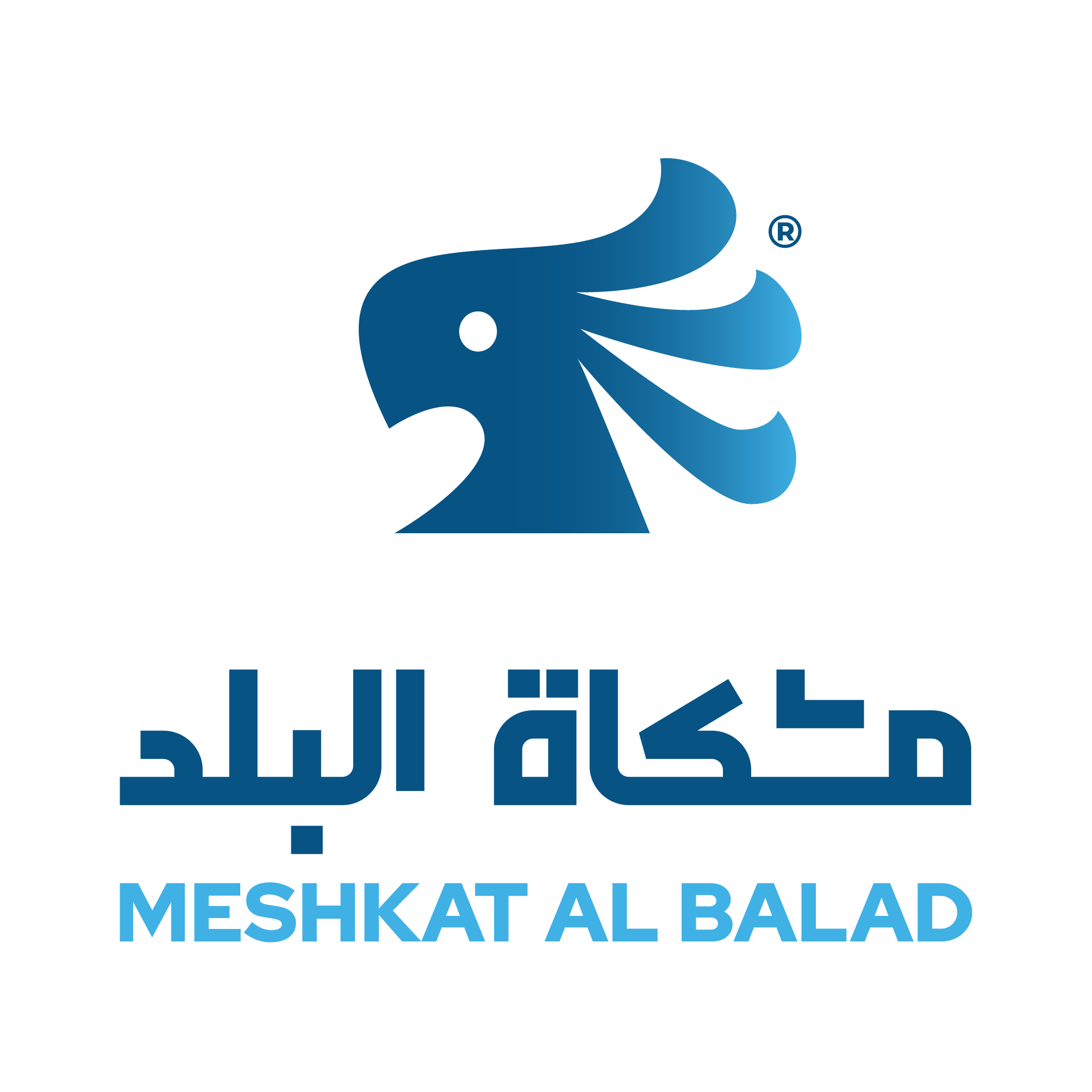 شركة مشكاة البلد التجارية