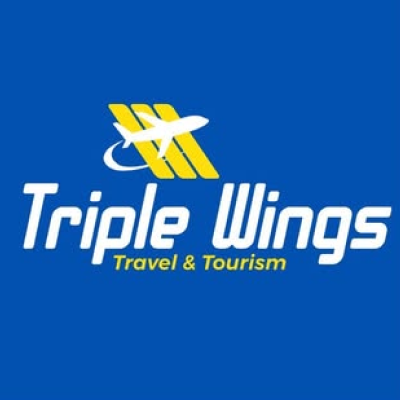 triple wings travels