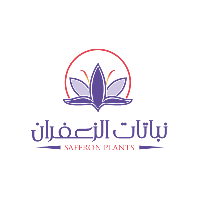 Saffron Plants