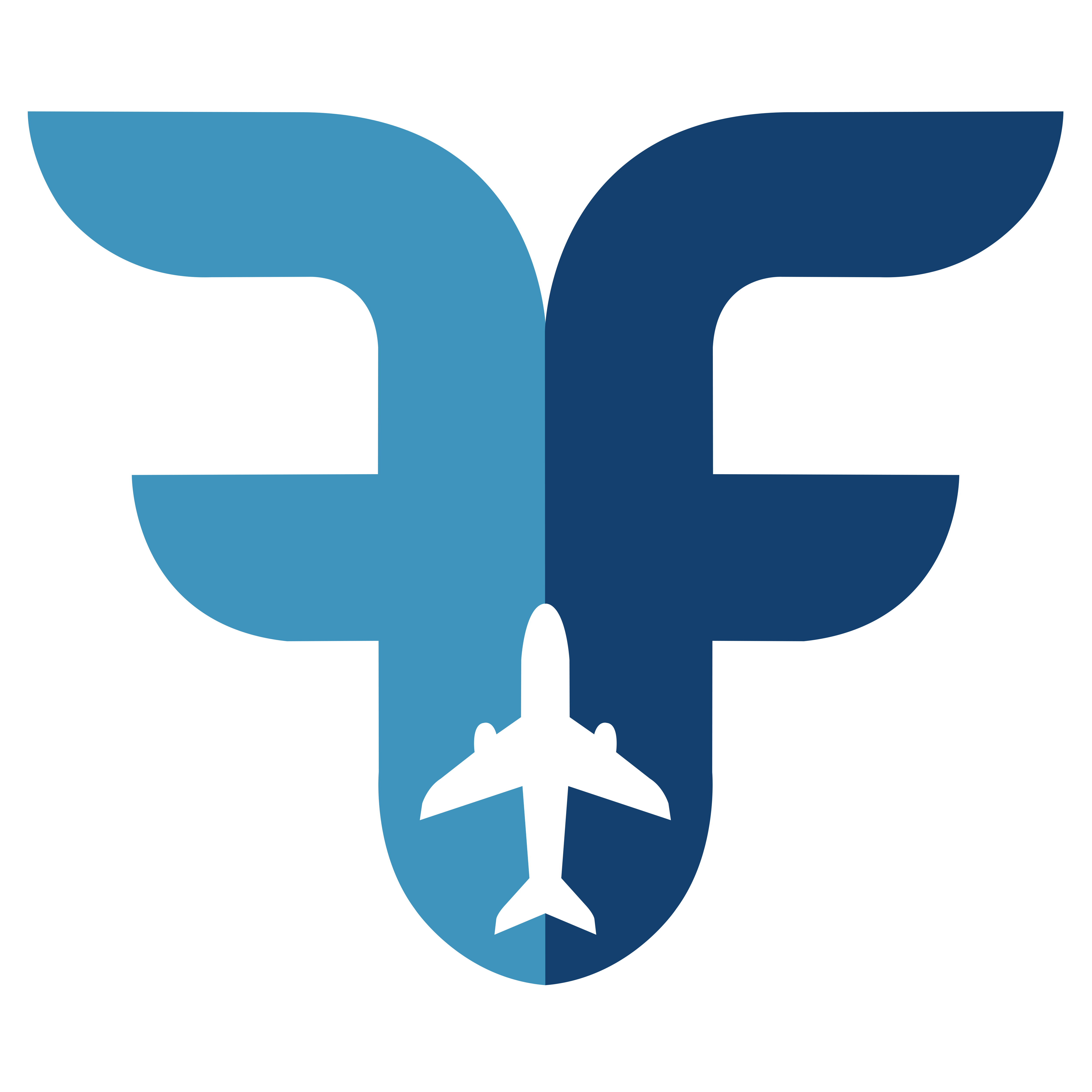 fast fly to sky