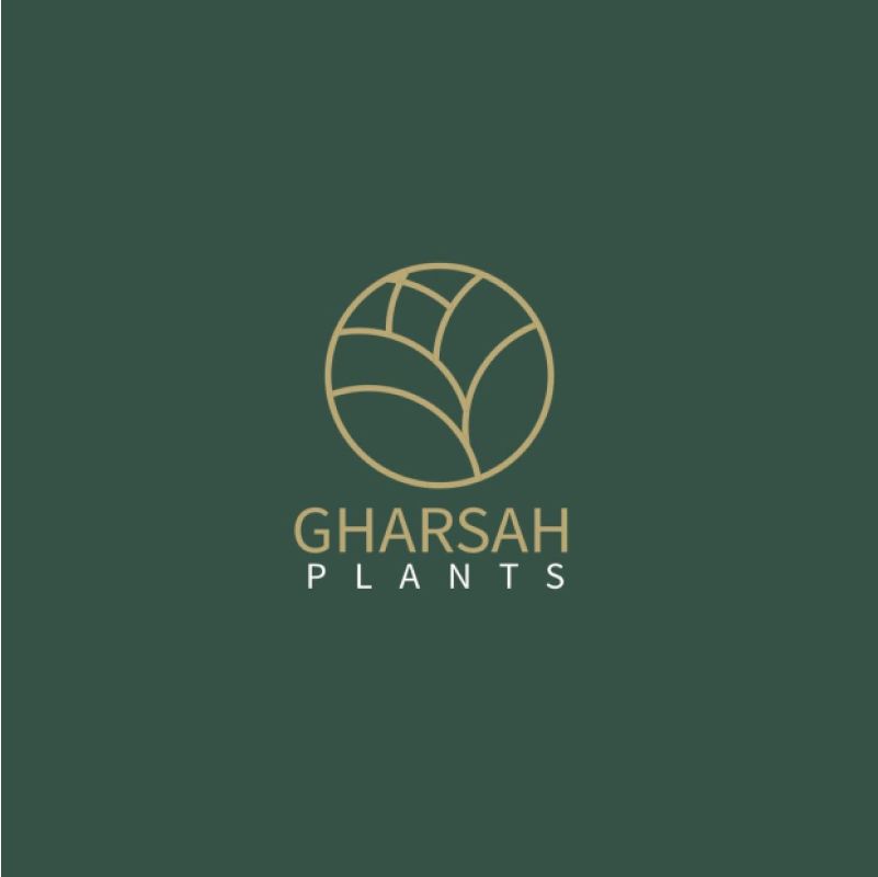 غرســــــه