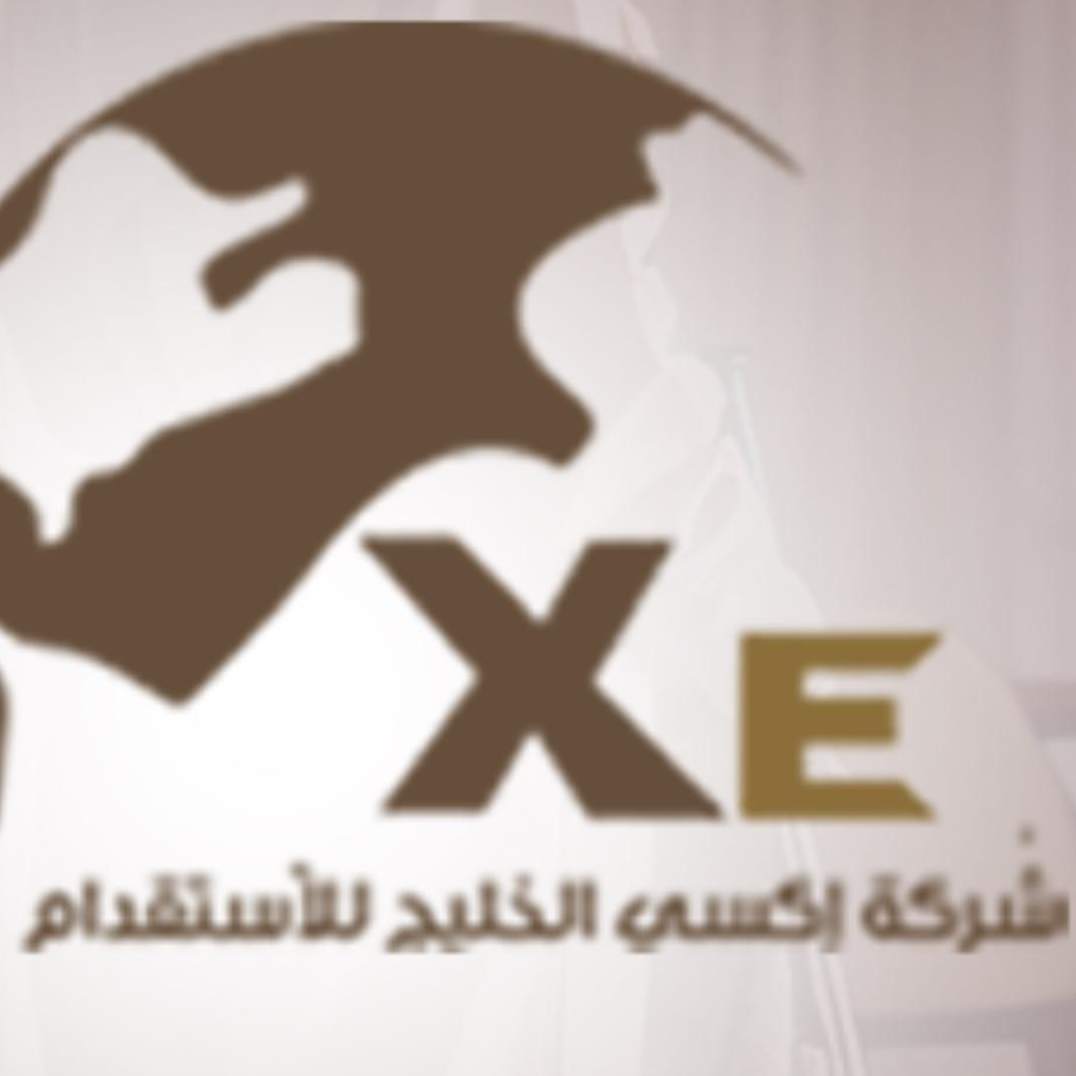 شركة إكسي الخليج للاستقدام