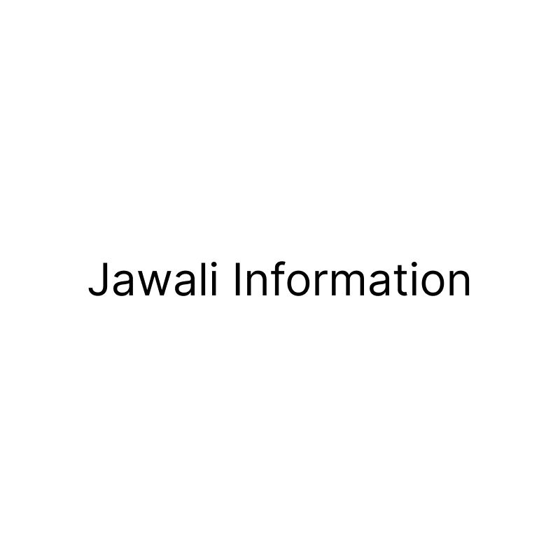 مؤسسة جوالي لتقنية المعلومات