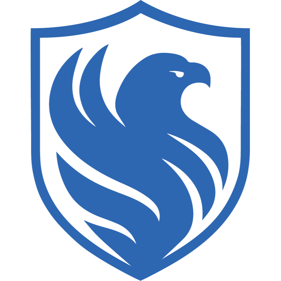  Falcon Games